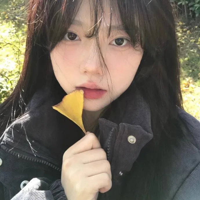 差利谐片集